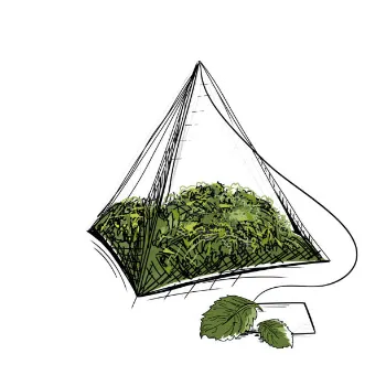 Dry Mint Leaves